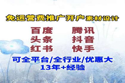 谷歌竞价广告与SEO结合的营销案例解析